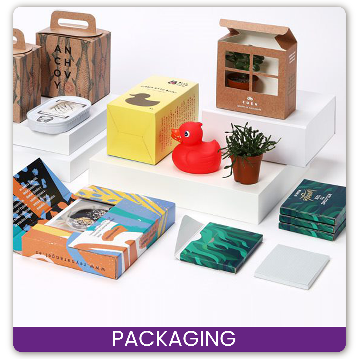 PAKCAGING